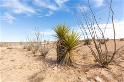 Sunrise Ranches Phase III Tract 117