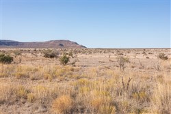 Sunrise Ranches Phase III Tract 117