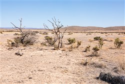 Sunrise Ranches Phase III Tract 117