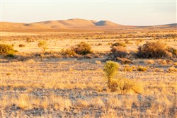 Sunrise Ranches Phase III Tract 137