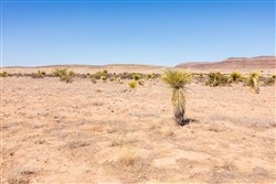 Sunrise Ranches Phase III Tract 137
