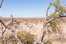 Sunrise Ranches Phase III Tract 137