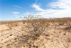 Sunrise Ranches Phase III Tract 141