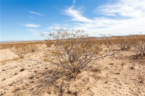 Sunrise Ranches Phase III Tract 141