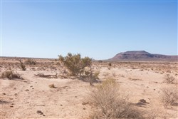 Sunrise Ranches Phase III Tract 141