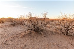 Sunrise Ranches Phase IV Tract 149