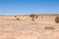 Sunrise Ranches Phase IV Tract 149