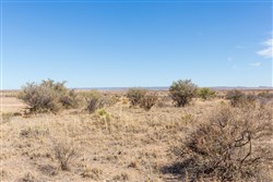 Sunrise Ranches Phase IV Tract 153