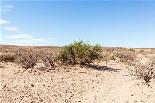 Sunrise Ranches Phase IV Tract 157