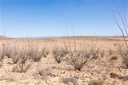 Sunrise Ranches Phase IV Tract 164