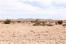 Sunrise Ranches Phase IV Tract 181