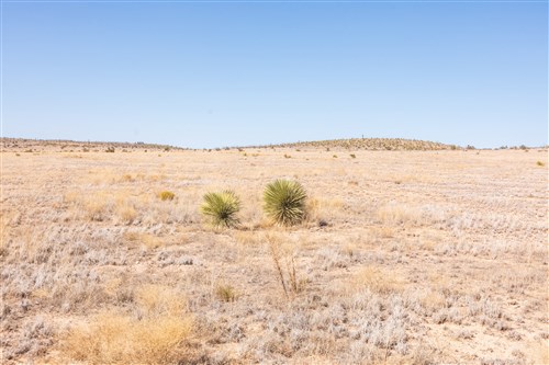 Sunrise Ranches Phase IV Tract 181