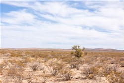 Sunrise Ranches Phase IV Tract 185