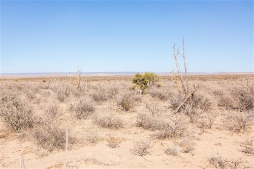 Sunrise Ranches Phase IV Tract 185