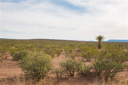Sunset Ranches Tract 17