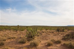 Sunset Ranches Tract 17