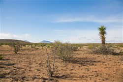 Sunset Ranches Tract 2