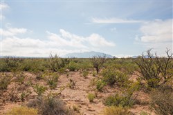 Sunset Ranches Tract 10