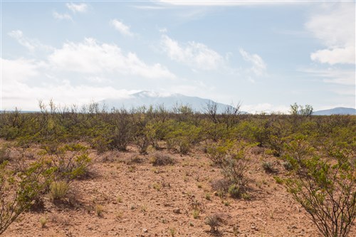 Sunset Ranches Tract 10