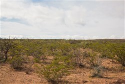 Sunset Ranches Tract 10