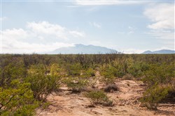 Sunset Ranches Tract 10