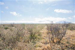Sunset Ranches Tract 11