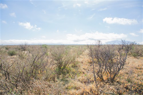 Sunset Ranches Tract 11