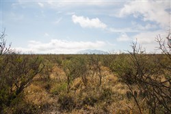 Sunset Ranches Tract 11