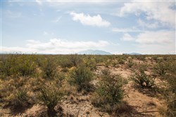 Sunset Ranches Tract 11
