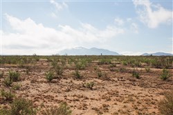 Sunset Ranches Tract 12