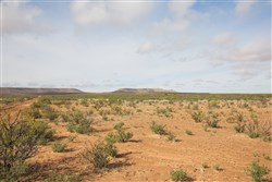 Sunset Ranches Tract 12