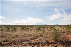 Sunset Ranches Tract 12