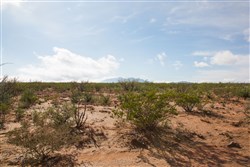 Sunset Ranches Tract 13
