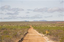 Sunset Ranches Tract 17