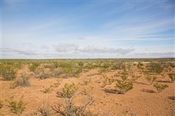 Sunset Ranches Tract 17