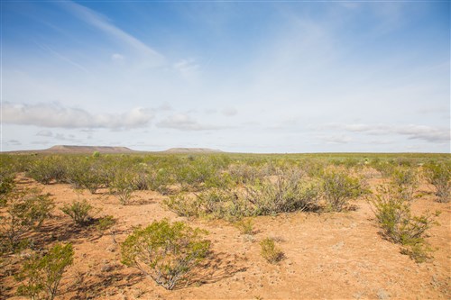 Sunset Ranches Tract 17
