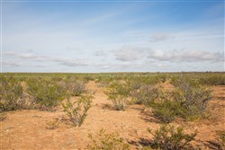 Sunset Ranches Tract 17