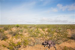 Sunset Ranches Tract 18
