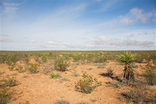 Sunset Ranches Tract 18