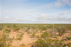 Sunset Ranches Tract 18