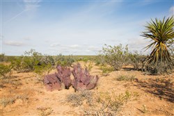 Sunset Ranches Tract 18