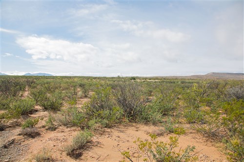 Sunset Ranches Tract 9