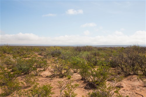 Sunset Ranches Tract 9