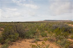 Sunset Ranches Tract 9