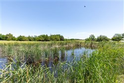 Wildflower Reserve Tract 2