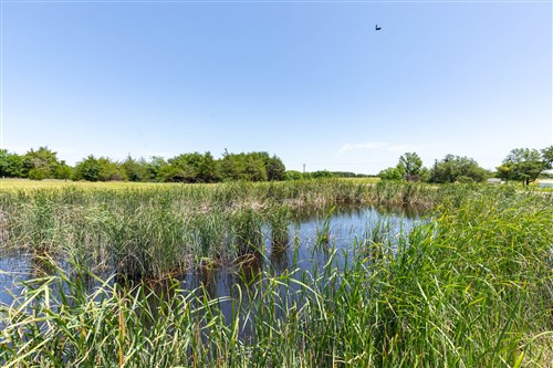 Wildflower Reserve Tract 2