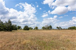property photo for Wildflower Reserve Tract 6, 1.93 acres for sale in Hunt County, Texas