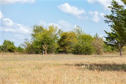 property photo for Wildflower Reserve Tract 6, 1.93 acres for sale in Hunt County, Texas