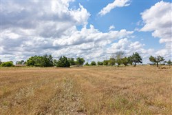 property photo for Wildflower Reserve Tract 6, 1.93 acres for sale in Hunt County, Texas