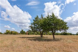 property photo for Wildflower Reserve Tract 6, 1.93 acres for sale in Hunt County, Texas